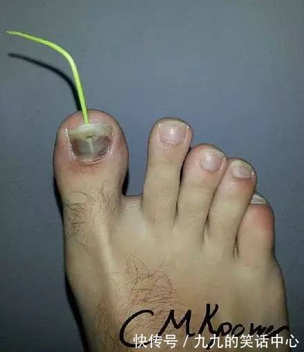 |笑话:熊孩子都是搞笑实力派