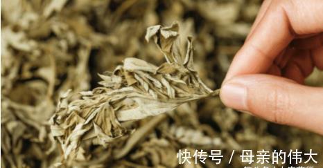 泡脚|小小艾草，5大功效！9个民间妙用方，横扫百病！收藏以备不时之需