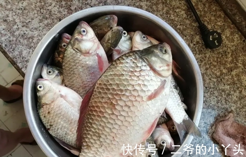 冬季鲫鱼都往深水跑，掌握这几种技巧，冬季也能连竿上鱼