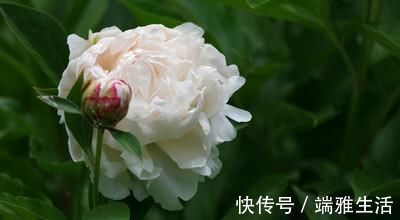 经方|所谓名中医，往往口是心非、表里不一！附老中医黄煌20条经典语录