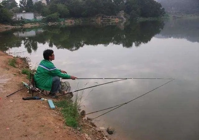 冬天野钓,了解“三大要素”再出门,不然喝一天西北风