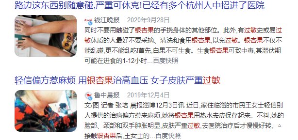 白果|不要捡！小心有毒！近期将大量出现