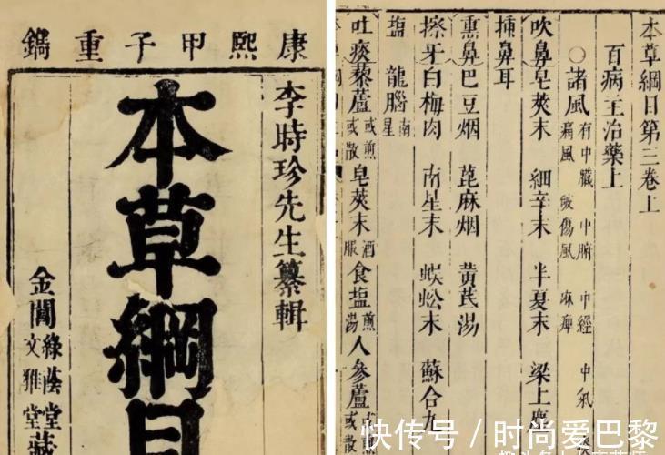 絲瓜|一味絲瓜絡，治病大功效！絲瓜絡6大頂級妙用，收藏以備不時之需