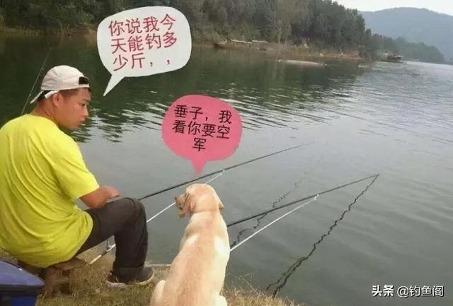 钓鱼最不该做的三件事,老钓手的经验之谈,新手小白需牢记