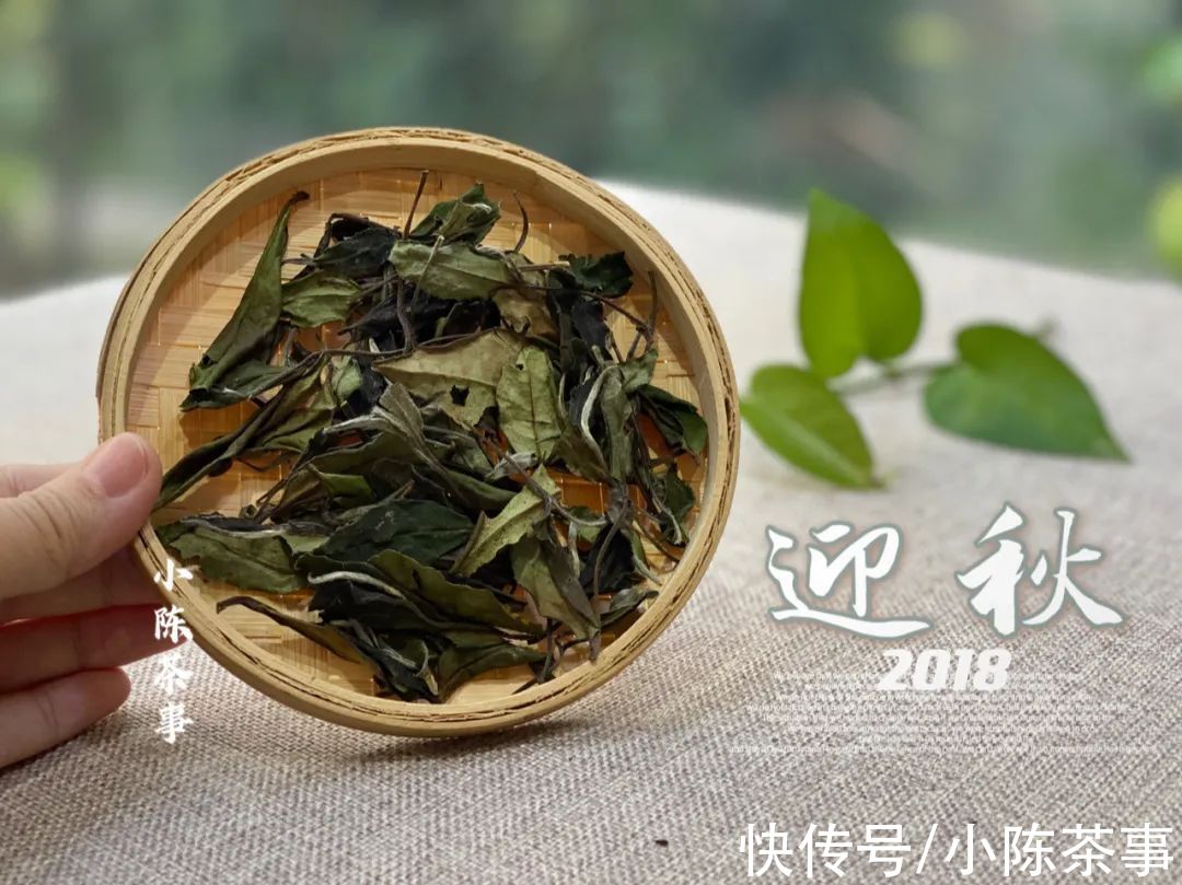 秋寿眉#白茶寿眉不上档次，没有收藏价值？这5个误区戳中了很多人的痛点