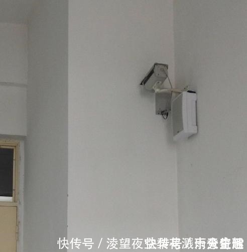 剪不剪|小长假不看点沙雕图怎么过!这世上竟有如此沙雕的手办!