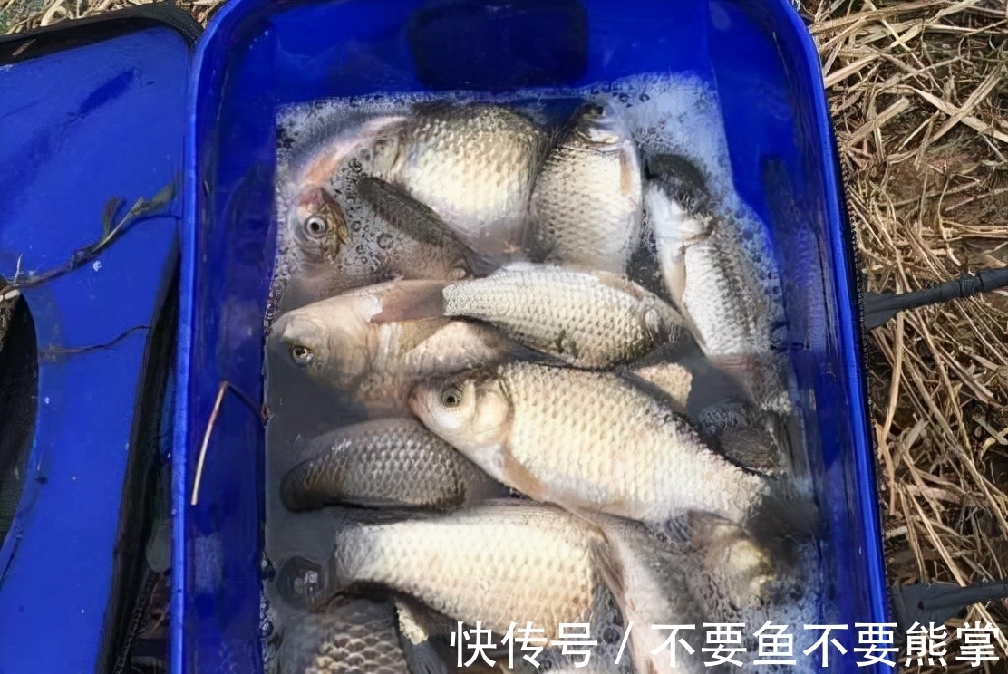 浮漂|这种钓法比双铅钓法效果更好，适合冬季野钓，不用明显吃亏