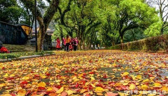 中国唯一建在5A景区内的大学，坐落在明朝王府内，进去还要买门票！