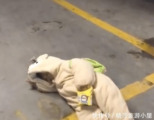 灵机|宝爸走路太快,宝宝追不上,灵机一动直接倒地引注意