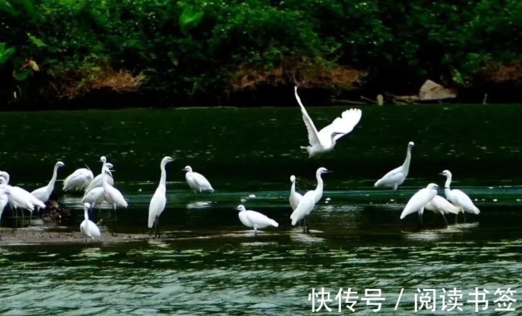 九月九日忆山东兄弟&王维10大名诗排行,《九月九日忆山东兄弟》仅第六,前五是何诗?