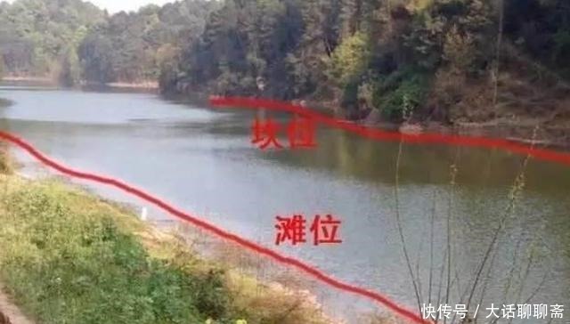 怪不得鲫鱼上了一条又一条,原来这才是春钓必修课,白瞎了