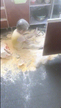 |搞笑GIF:老婆总问我去健身房干什么,我该怎么回答啊