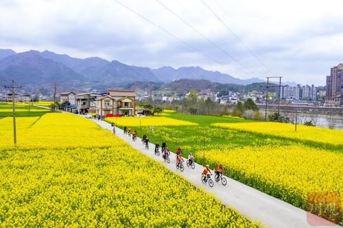 【图集】旺苍长滩：油菜花开 乡村如画