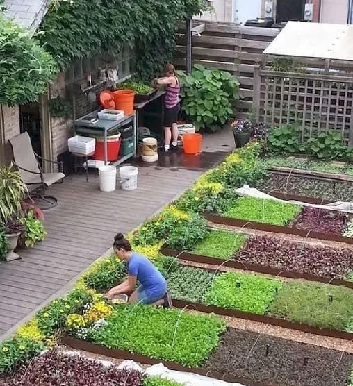 凉亭|等我老了,就想拥有这样一个小院,静守流年,嗅一院子的芬芳