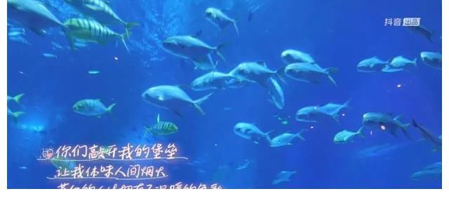 跳脫慢綜藝創(chuàng)作藩籬，《因為是朋友呀》向內尋找創(chuàng)新破題點