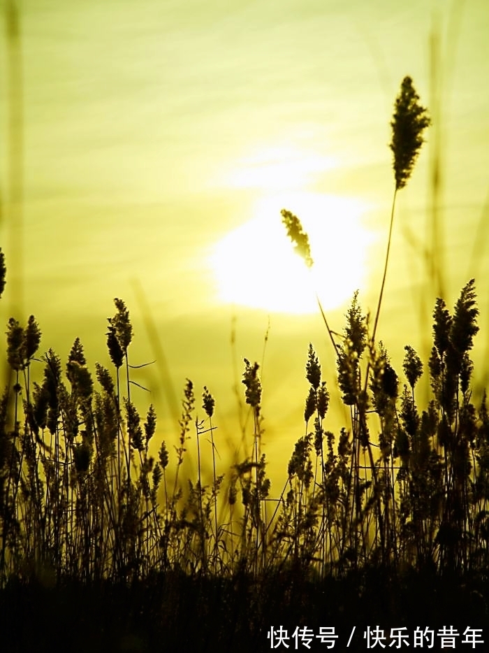 廉洁@《菜根谭的智慧》经典名句解评(四十五)