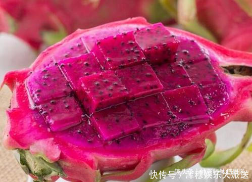 能吃能观赏的火龙果,如何盆栽教你两招,来年还能吃上果实