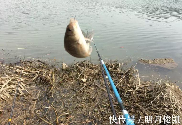 动作|盯紧你的浮漂！冬天野钓别等黑漂，这样的小信号也能中鱼