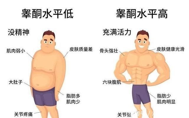 健身姑娘|国产人气网红,健身7年,体重稳定,管理身材关键在于体脂率