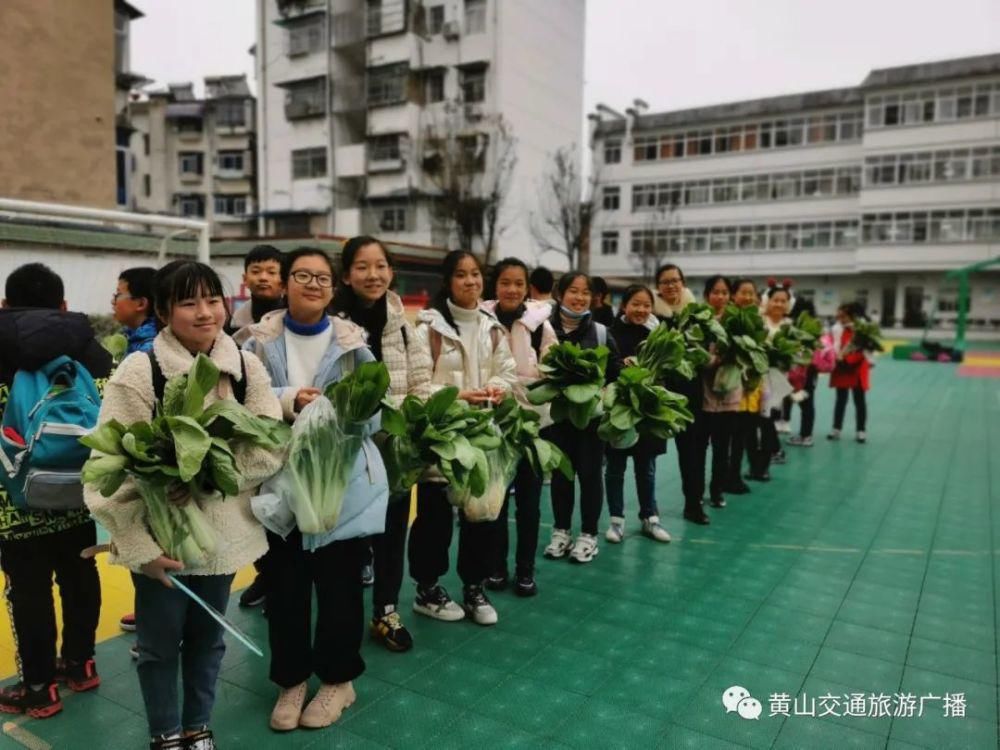 同学们|长干小学学生：我的白菜长大啦 我的园子我的菜 珍惜粮食自己采