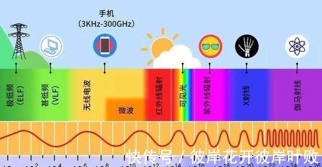 波段|当把密闭屋子里的灯关掉，光线都跑去了哪里？