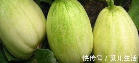 肌肤|会吃的人最健康,3种食物离不开,滋润肌肤,能减少皱纹,更年轻