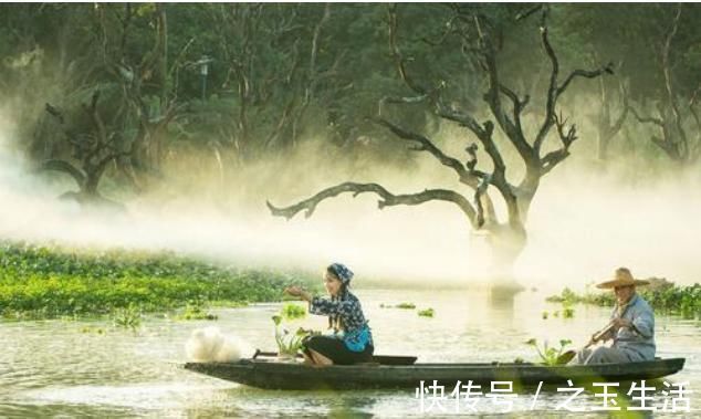 王维#王维的《山居秋暝》,只有八句话,但是句句都是流传千古的名句