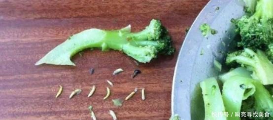 脏东西|西兰花清洗太麻烦学会这个小妙招,轻松清洗干净西兰花