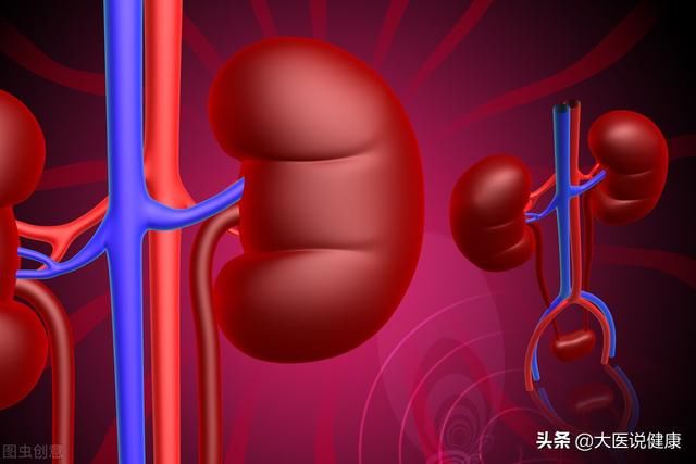 莫主任|中药大黄伤脾胃损正气？中医：大黄对肾脏有5个好处，这样用更好