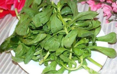  男女|不论男女，多吃此野菜，润肠通便，清虚热，吃到就是捡到宝