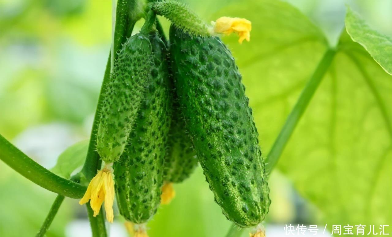  红润|女人爱美，常吃3种食物，排毒养颜，肌肤红润有光泽