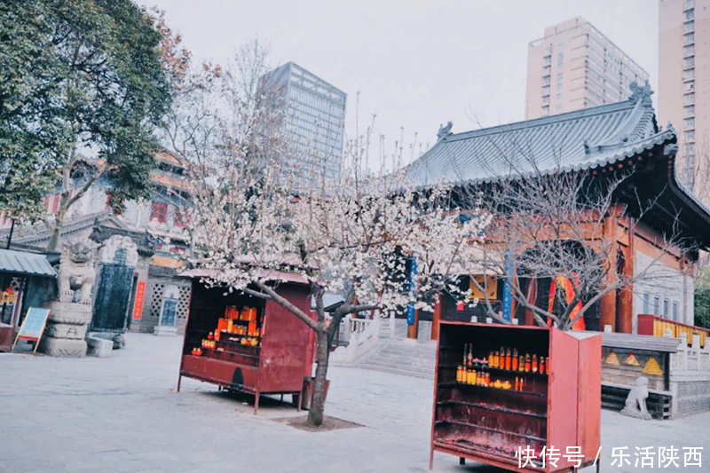 中年|百花争春时节，在西安，这些浪漫的事情一安排 ，想怎么嗨都行