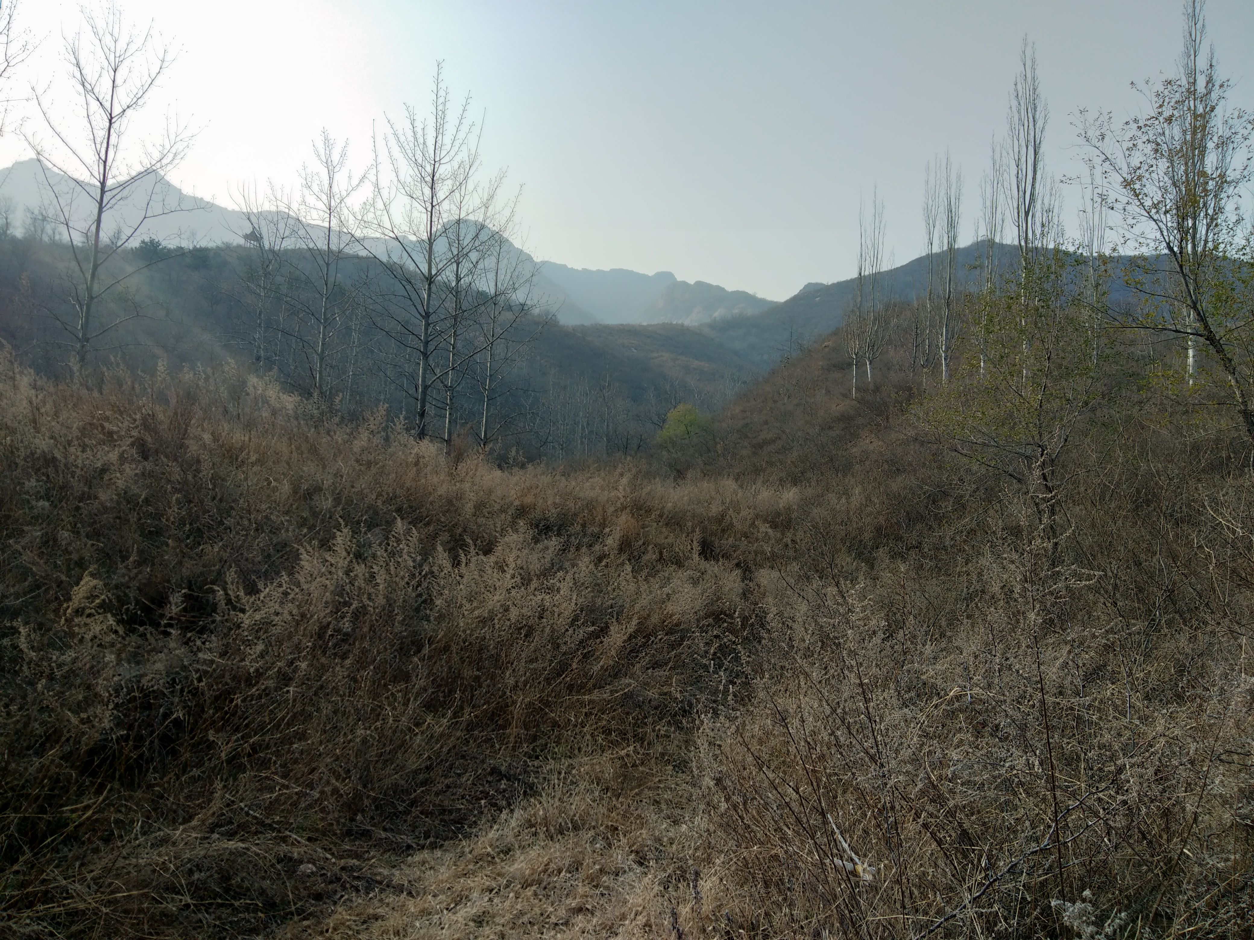 荒山|长峪村水库、荒山探险