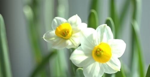 龙凤|出生在几点钟的孩子,是才子佳人,从小就优秀到大,是人中龙凤