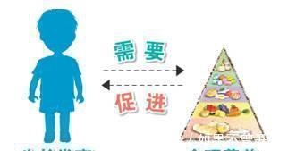 个子|孩子的身高需要管理!抓好3个关键因素,矮个父母也能养出高个孩