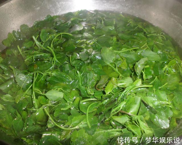 这菜春天遇到就不要错过,是菜又是药,清热下火,老人孩子要多吃