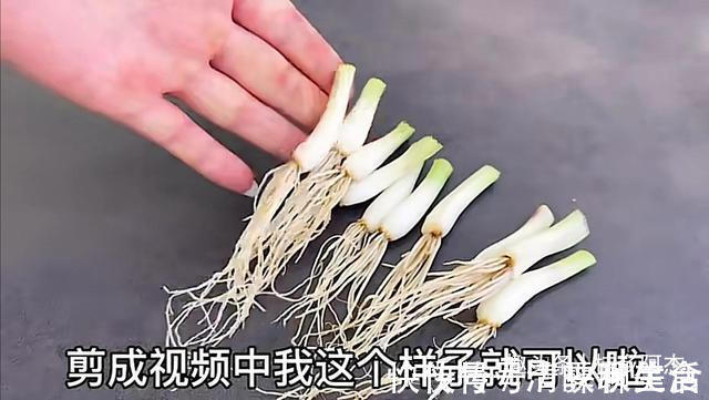搅拌均匀|扔葱根等于扔钱,葱根原来是个宝,作用这么厉害,太实用了