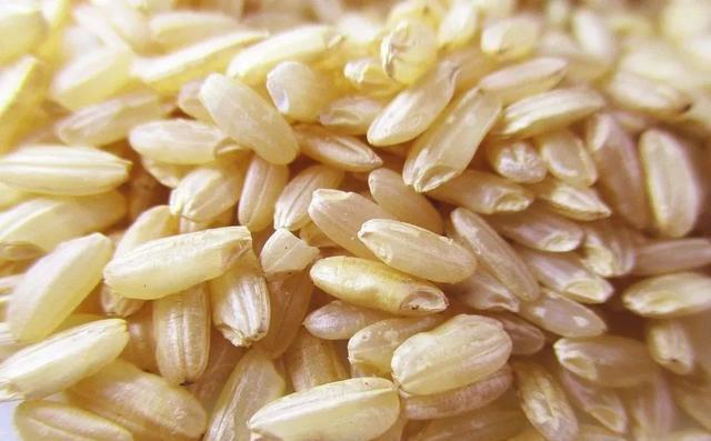 碳水化合物|会吃米的人更长寿!6种米乌发养颜、健脾养胃,还是活血化瘀好帮手