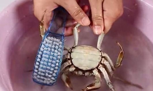 蒸螃蟹时，直接上锅蒸就错了，多加1步，肉质鲜嫩细腻没腥味