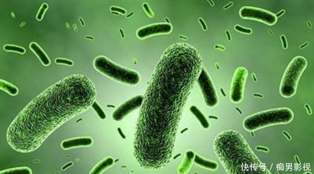 后果 科学家为何不敢带回火星的土壤?会产生什么不良“后果”?