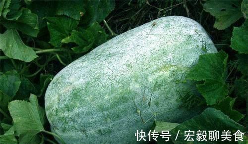 病生|湿气重百病生! 用不起眼的“它”泡水喝, 排出体内多年老湿气