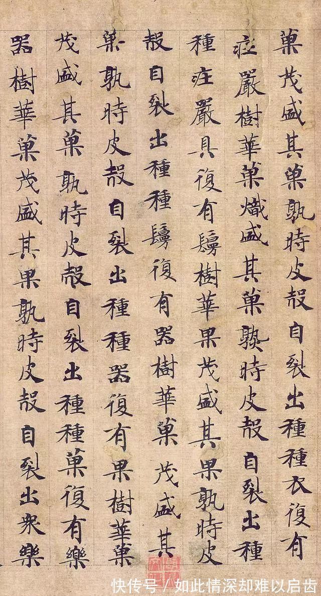 小楷$《转轮圣王经》,天下第一小楷《灵飞经》的姊妹篇