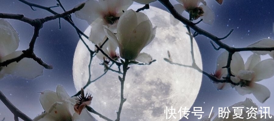 望月诗词!杨万里两首望月诗词,写出了不一样的情感,令人心生美好