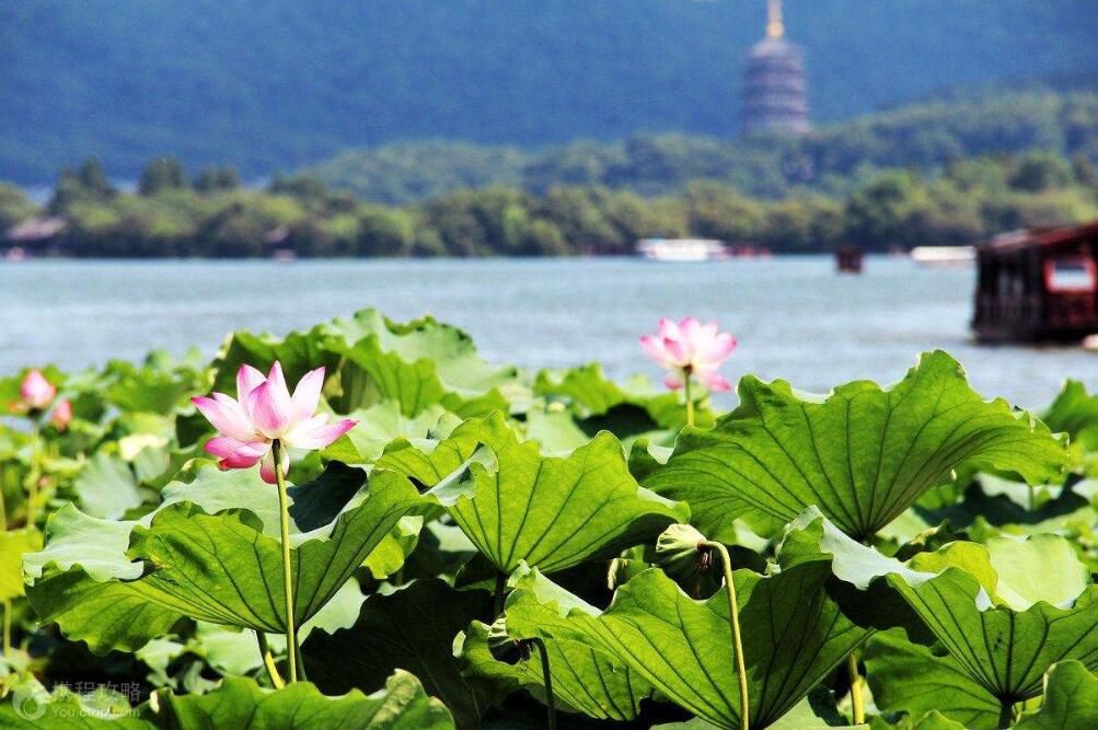 去过|中国最著名的名胜古迹，去过三个以上算合格，全去过实在太幸福了