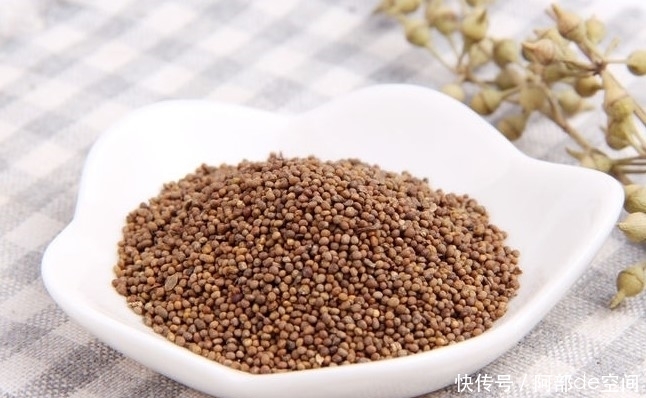 觅阳参|枸杞配一“宝”,补肾效果好,老中医:冬天多吃!