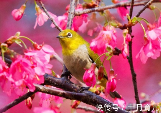 出生日|你的农历出生日，注定了你是什么样的人，赶紧对号入座看看吧