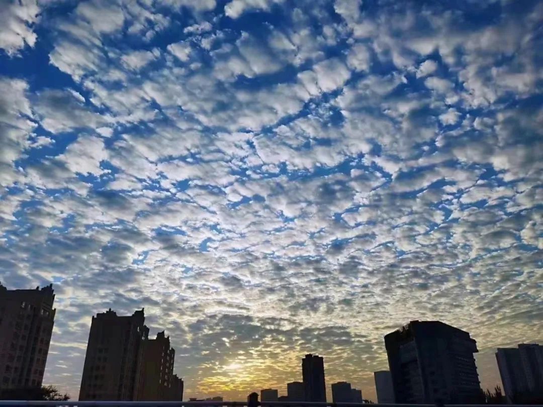 刘十九|今天的泰安，是彩云的城！从城里到泰山顶绝美照片曝光！太太太养眼了！