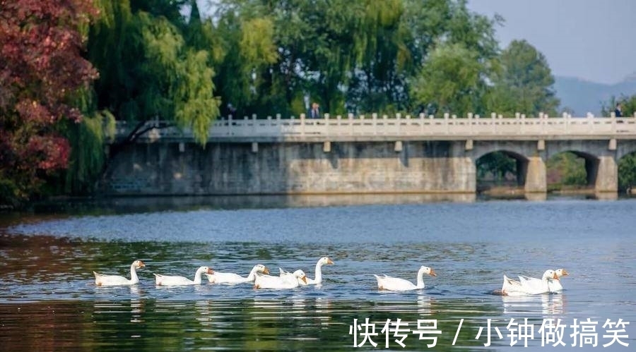 千佛山|济南这些绝美山峰，每座都引人入胜，选择一个开启完美秋天吧！