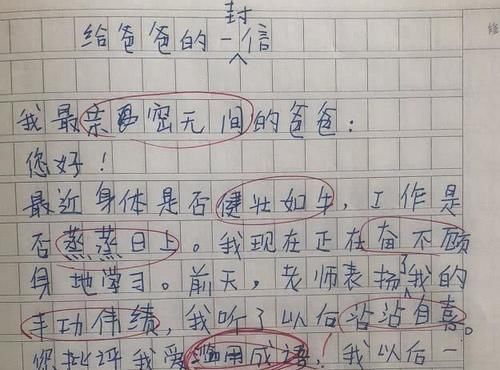 小学生不到200字的小作文，用了10多个成语，语文老师都甘拜下风