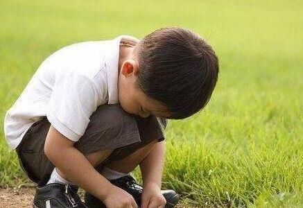 柿子|孩子被人当“软柿子”捏?父母掌握3个要点,孩子到哪都不被欺负